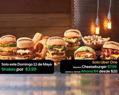 Burgerfi (Arecibo)