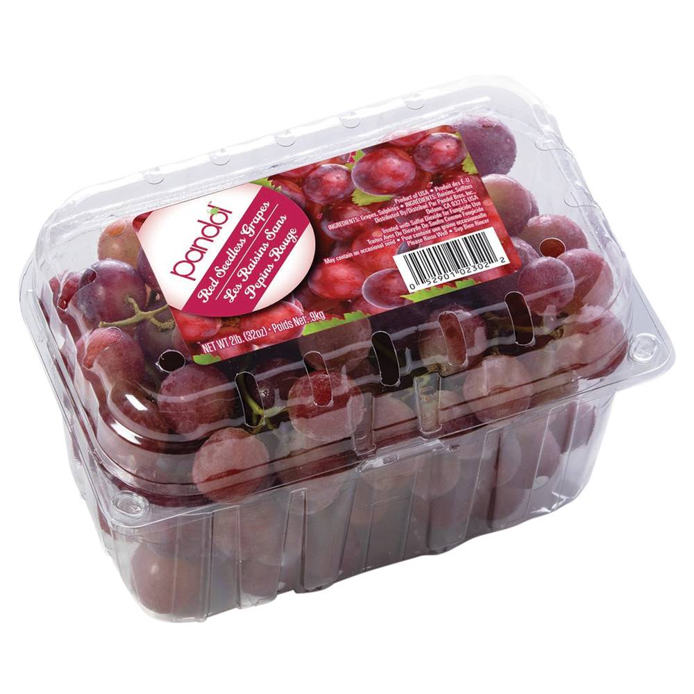Red Seedless Grapes 2 Lb