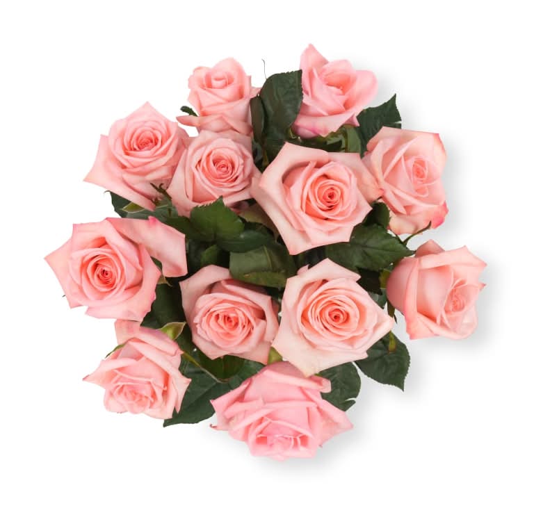 Bloom Haus Pink Rose Bunch (12 ct)