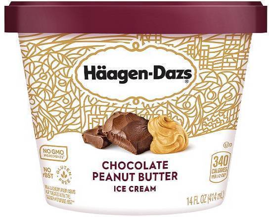 HÄAGEN-DAZS Chocolate Peanut Butter Ice Cream