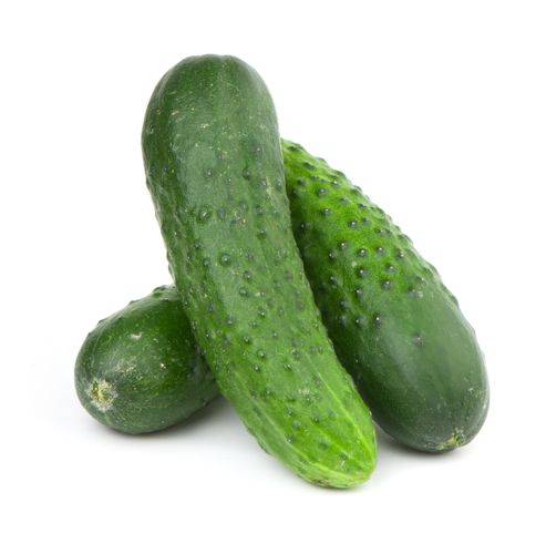 Farmers Market Mini Cucumbers (6 pack)