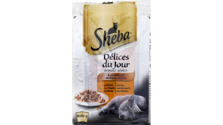 Sheba Sachets Délices du jour en sauce à la volaille pour chat Les 6 sachets de 50g