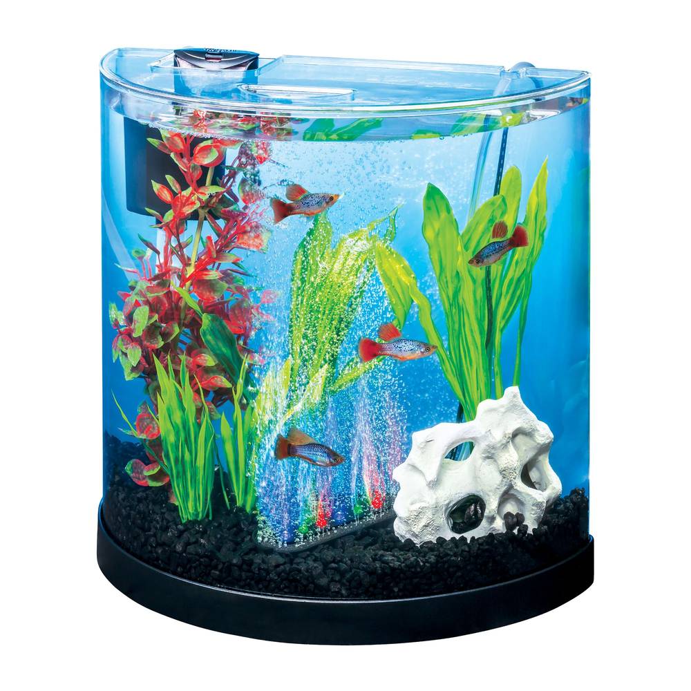 Tetra® 3-Gallon Half-Moon STEM Aquarium Kit (Size: 3 Gal)