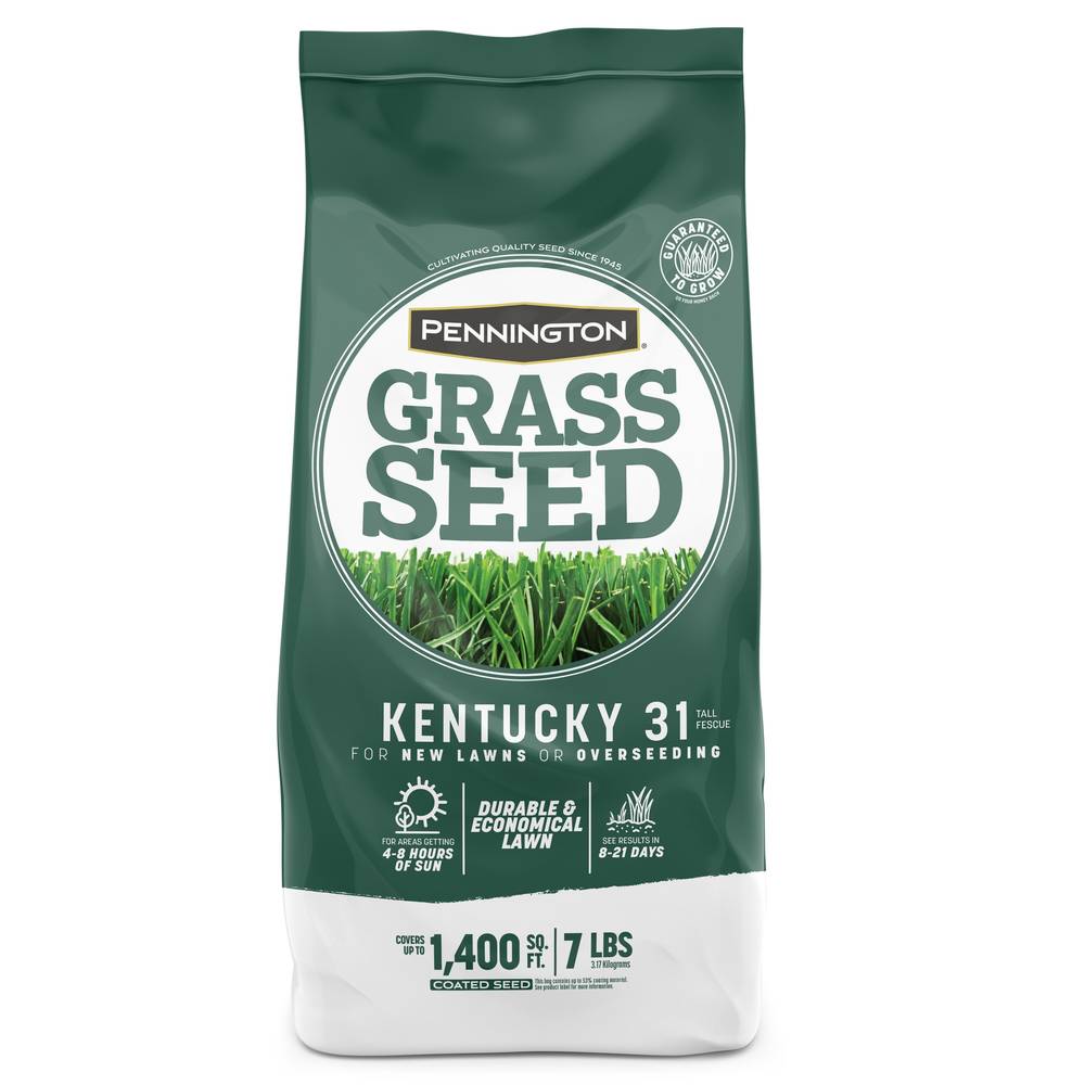 Pennington Kentucky 31 7-lb Tall Fescue Grass Seed | 2149601429