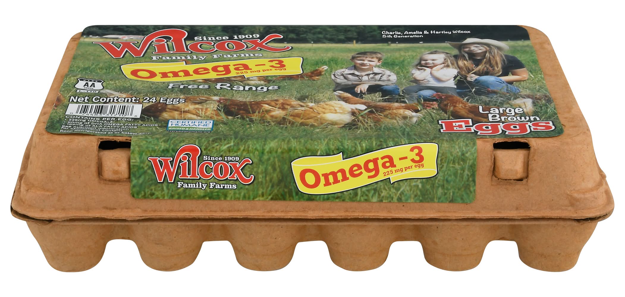 Wilcox Family Farns Omega-3 Free Range Large Brown Eggs