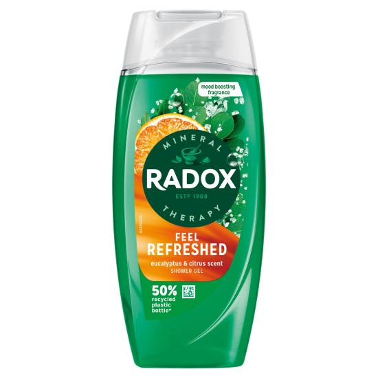 Radox Mineral Therapy Body Wash