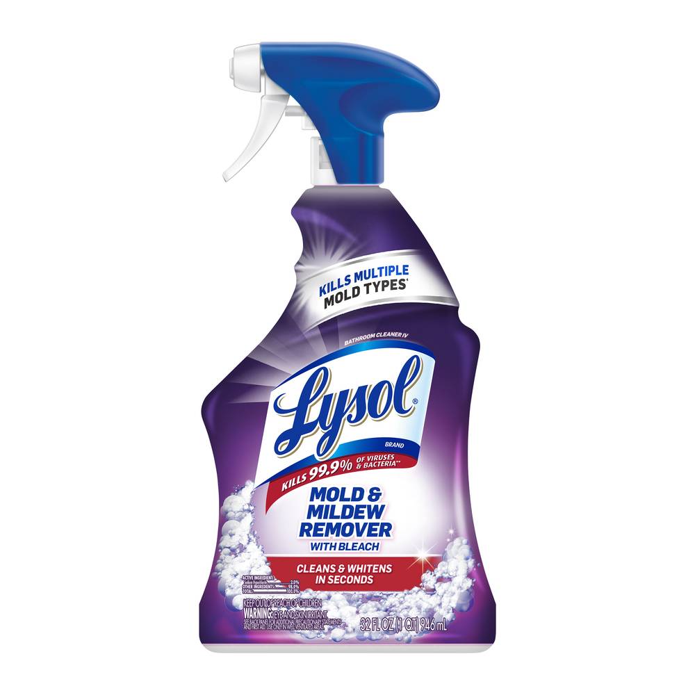 Lysol Mold & Mildew Remover With Bleach