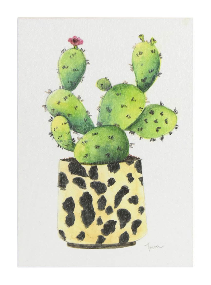 Succulent Art 5 In X 7 In