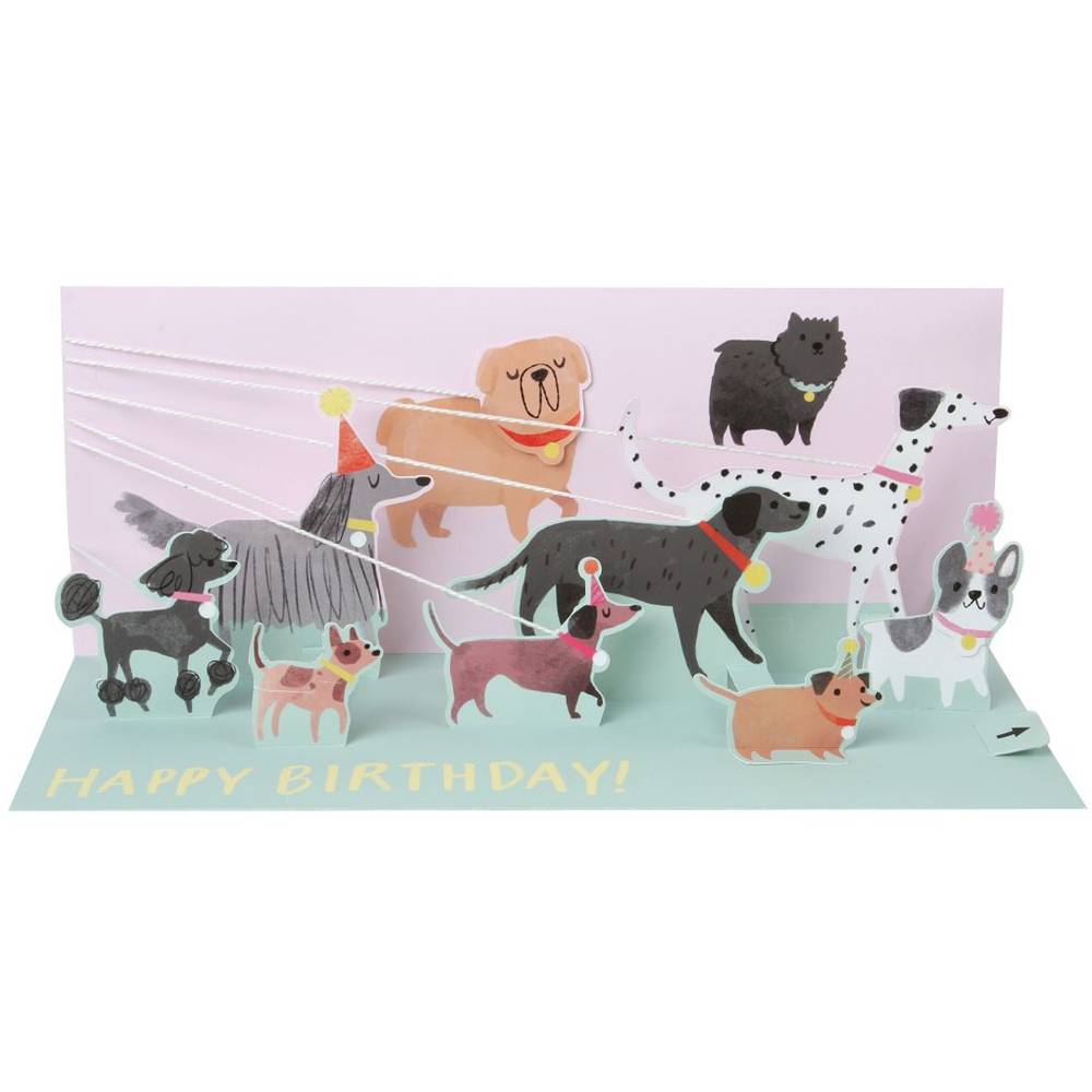 Up With Paper Shadowbox Popup Card Dog Walker, Multicolor