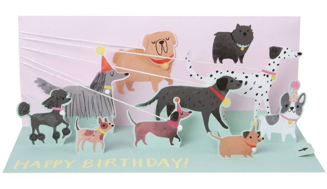 Up With Paper Shadowbox Popup Card Dog Walker, Multicolor