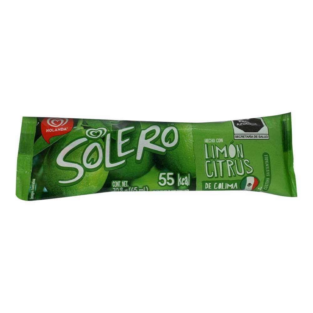 Holanda paleta helada solero citrus limón (bolsa 65 ml)