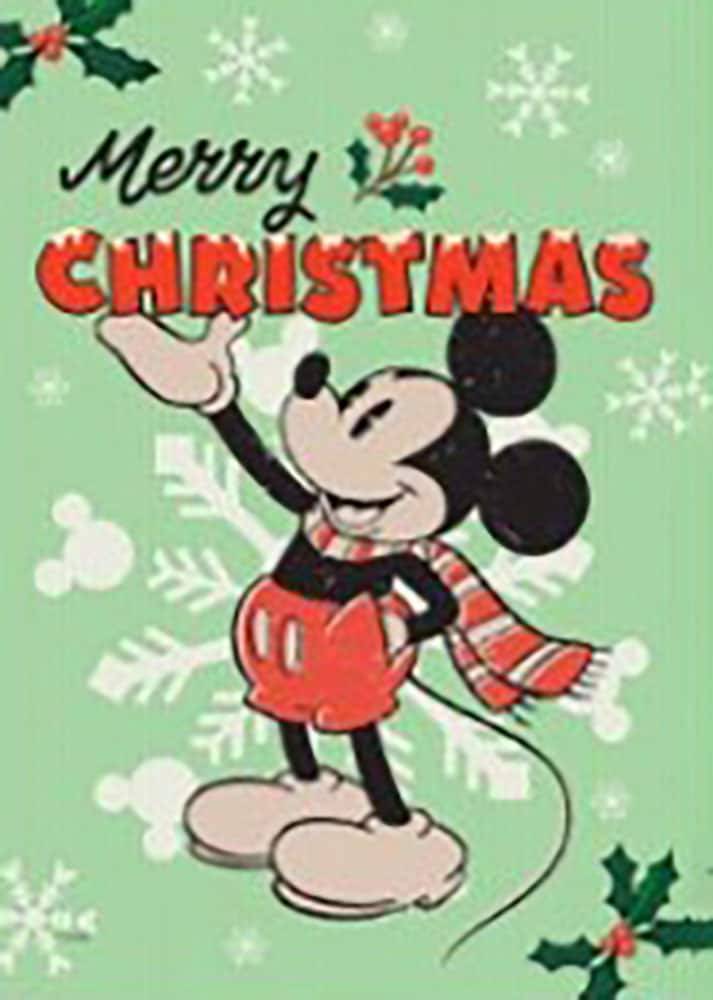 Disney 1.04-ft W x 1.5-ft H Christmas Garden Flag | 10-1063-92F-01