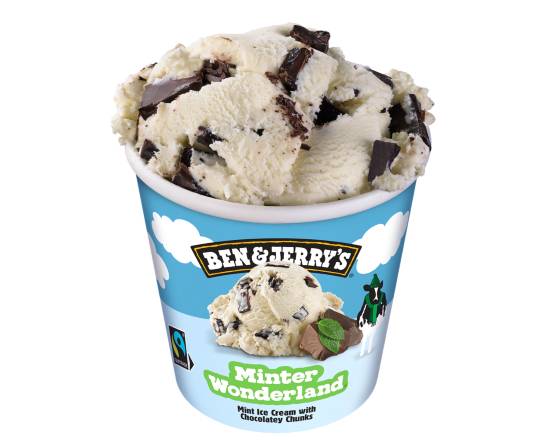 Ben & Jerry's Marshmallow & S'mores 427ml