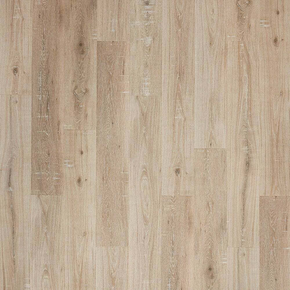 STAINMASTER PetProtect Amberley Oak 12-mm T x 7-1/2-in W x 47-1/4-in L Waterproof Wood Plank Laminate Flooring (22.09-sq ft / Carton) | SM102