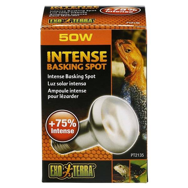 Exo Terra Intense Basking Spot Light