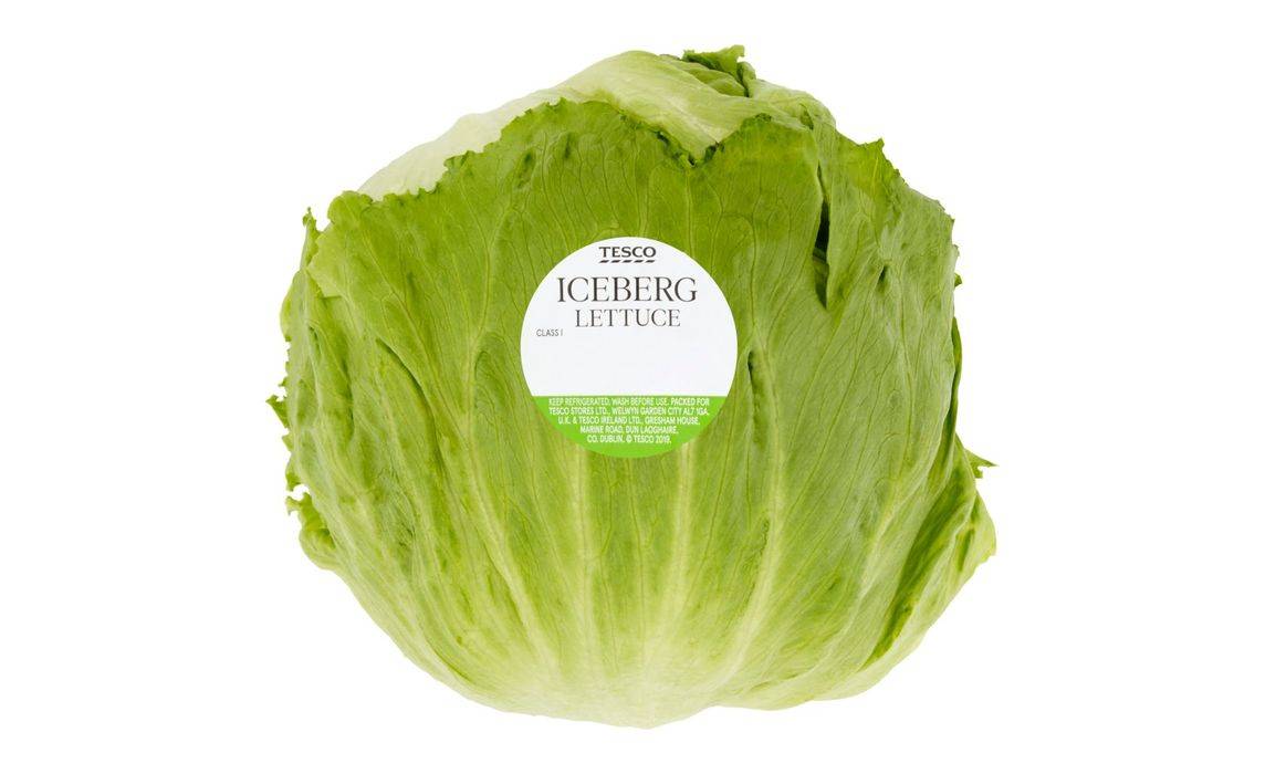 Tesco Iceberg Lettuce (364480)