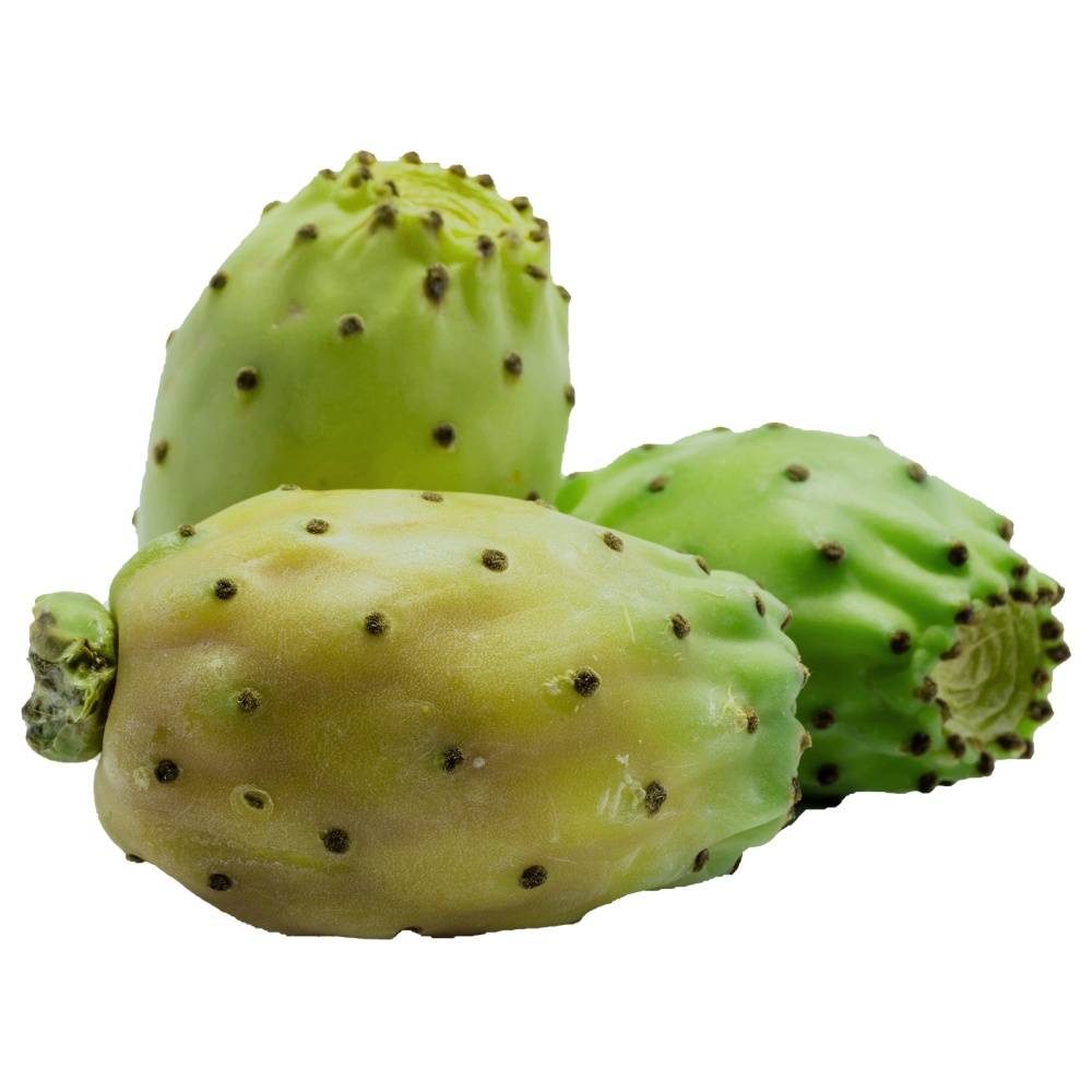 Cactus Pear Green