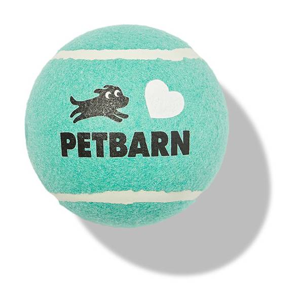 Deals on Petbarn Love Fetch Ball Dog Toy Delivery Near me