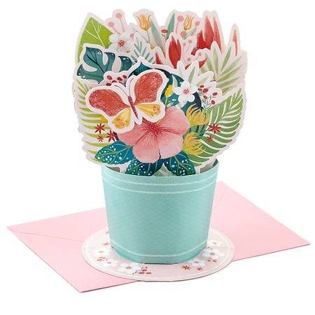 Hallmark Paper Wonder 3d Pop-Up Card (celebrating you flower bouquet)