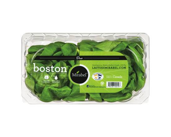 Mirabel · Laitue Boston (Paq. de 2) - Boston lettuce duo (2 units)