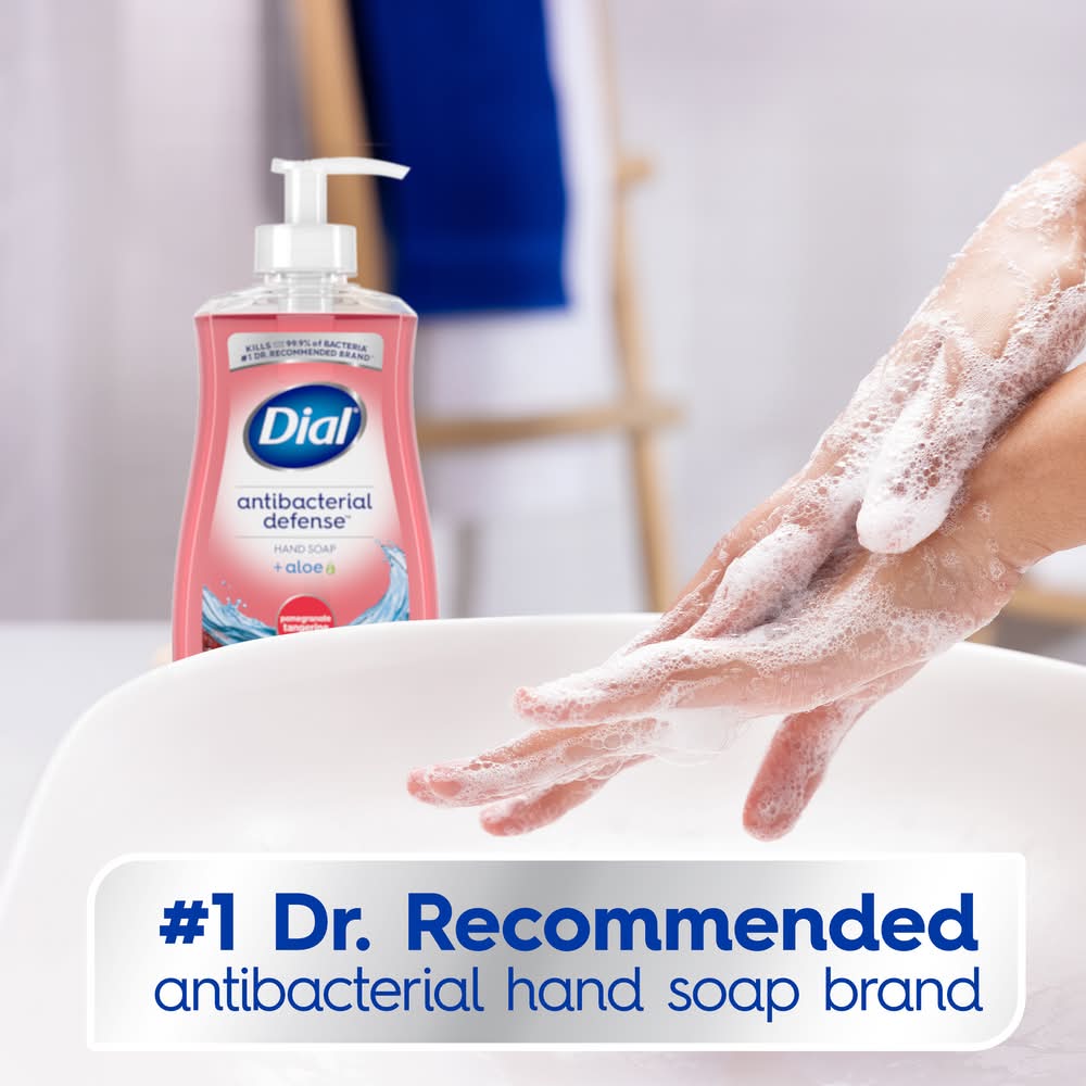 Dial Complete Antibacterial Pomegranate Tangerine Liquid Hand Soap (11 fl oz)