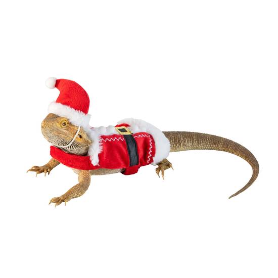 Merry & Bright™ Santa Reptile Costume (Color: Assorted)