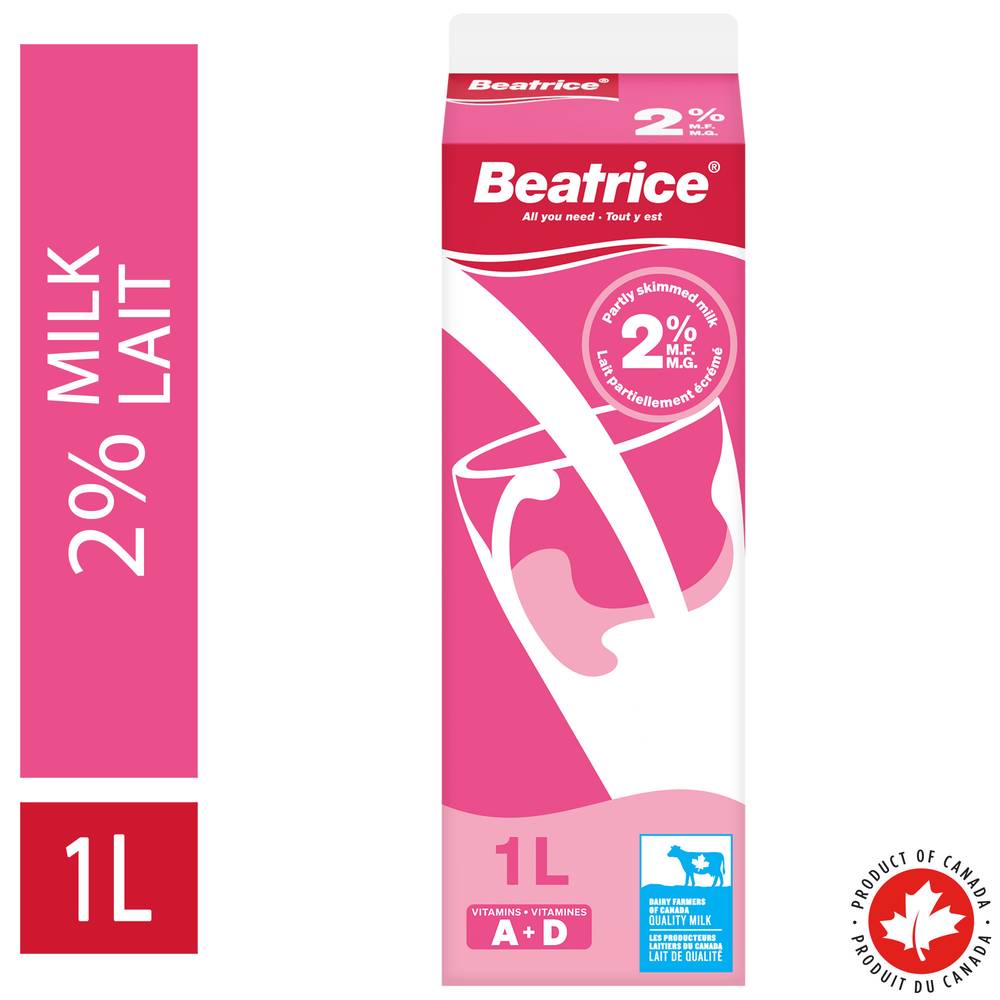 Beatrice Partly Skimmed Milk (1 L)