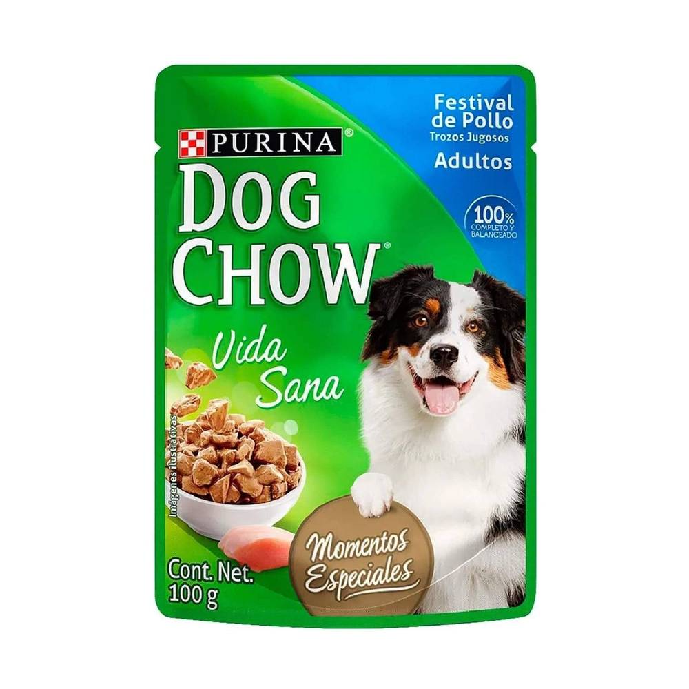 Alimento Para Perros Dog Chow Pollo y Carne 100 g