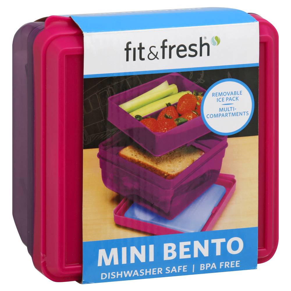 Fit & Fresh Mini Bento Box