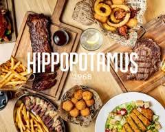 Hippopotamus - Perpignan Palmarium