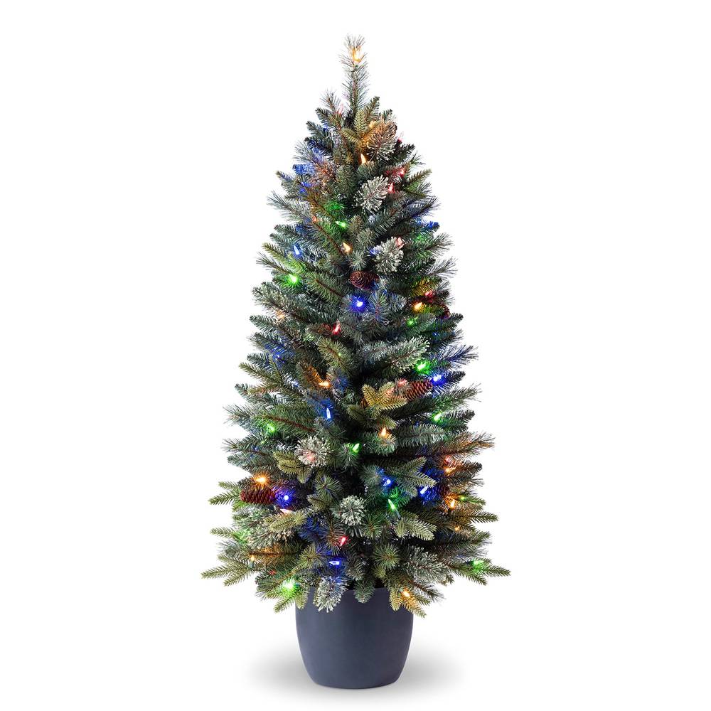 Holiday Living 4-ft Slim Hayden Pine Pre-lit LED Artificial Christmas Tree | TV40P5482D01