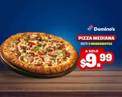 Domino's Pizza (Vía España)