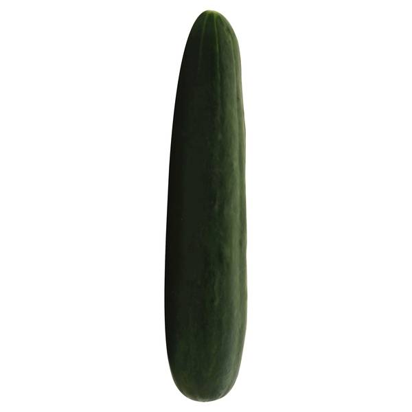 Cucumber