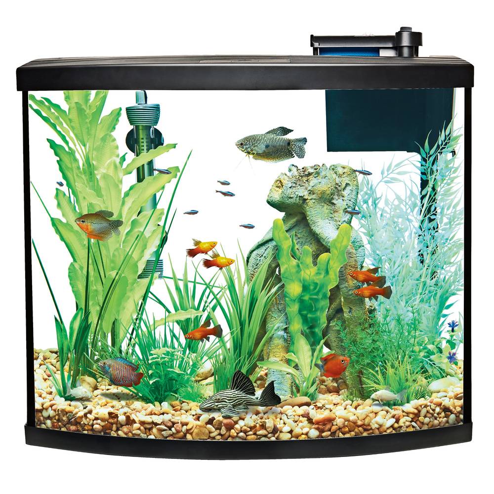 Top Fin Bow Front Aquarium Starter Kit (36 gal)