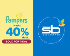 Salcobrand (163 Rojas Magallanes)