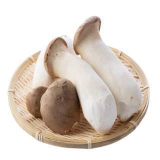 嚴選新鮮杏鮑菇3包 約450g±10%(黎明市場精選商品/D012-48)