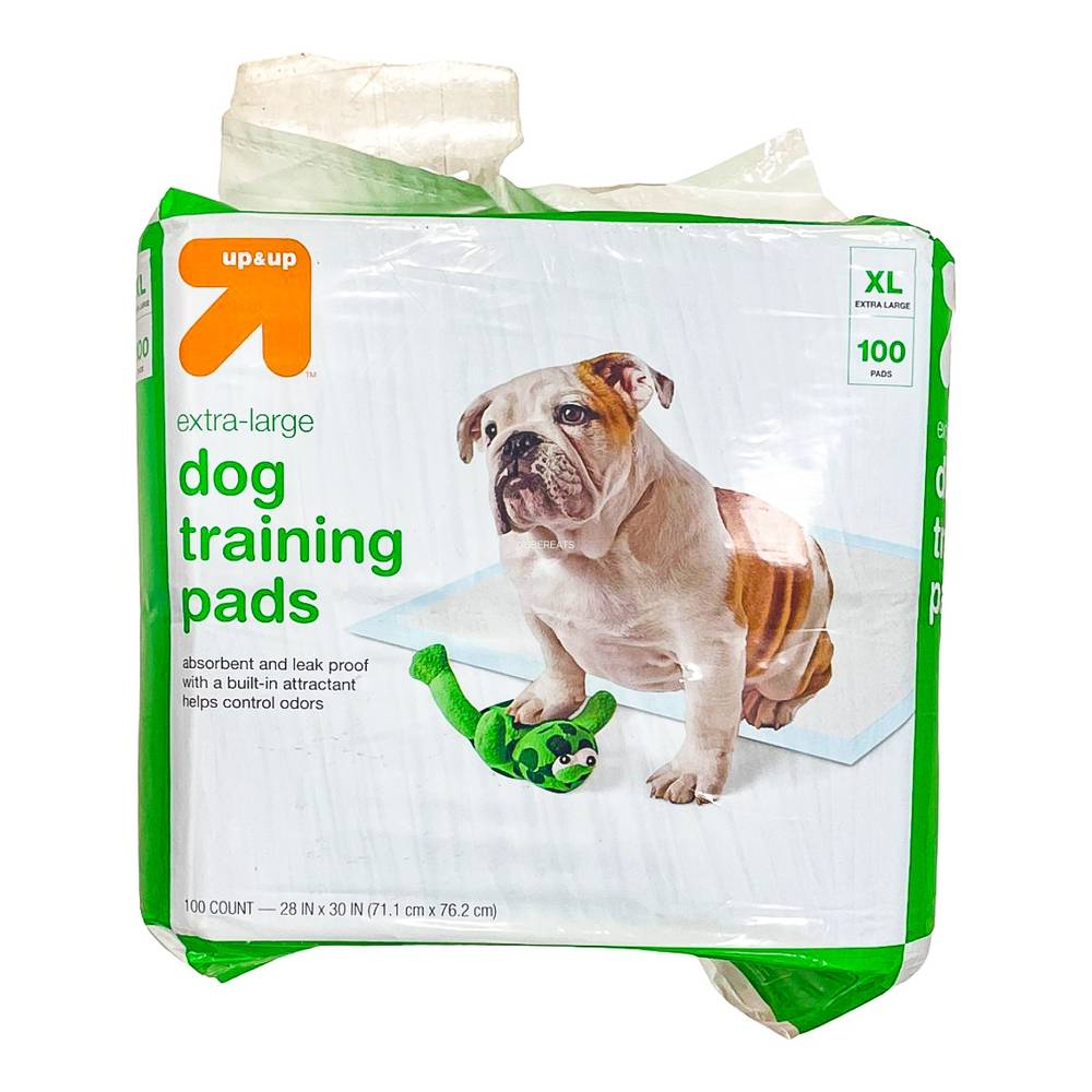 Up&Up Adult Dog Training Pads (100 ct) (extra large)