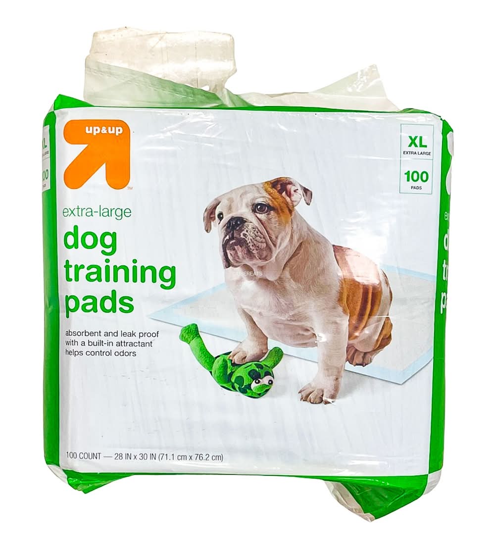 up&up Dog Training Pads, XL (100 ct)