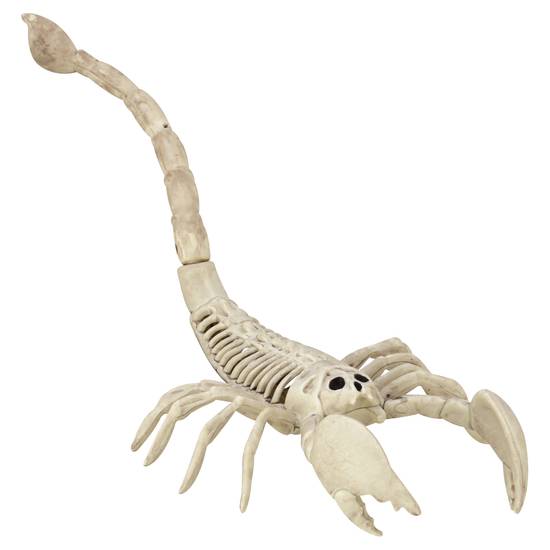 Crazy Bonez Decorative Scorpion Skeleton (1 ct)