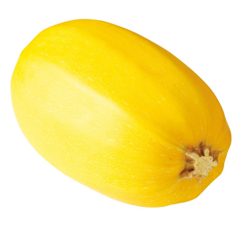 Fresh Spaghetti Squash