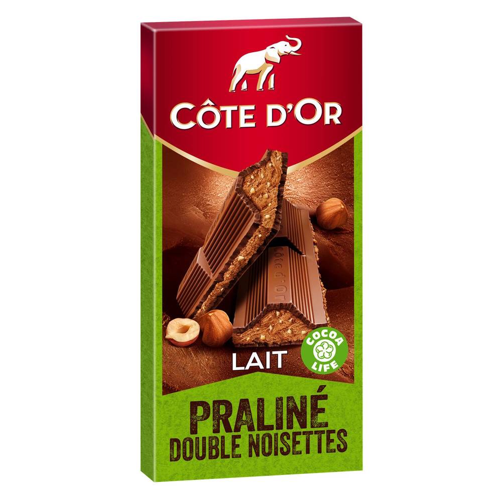 Côte d'Or - Chocolat au lait fourré praliné double noisettes