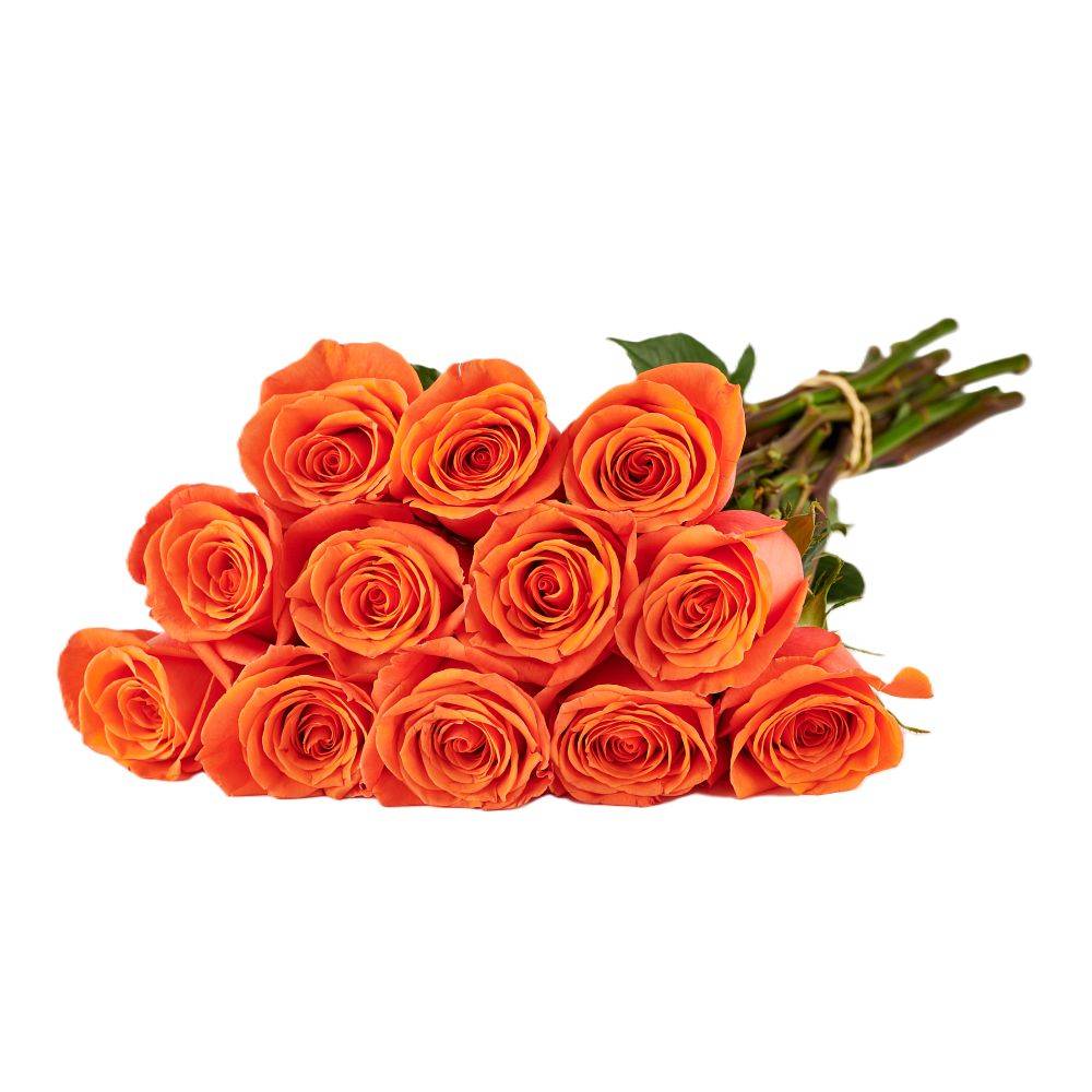 Dozen Orange Roses