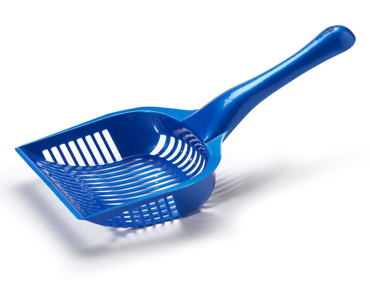 Essentials Blue Litter Scoop, 1 Large