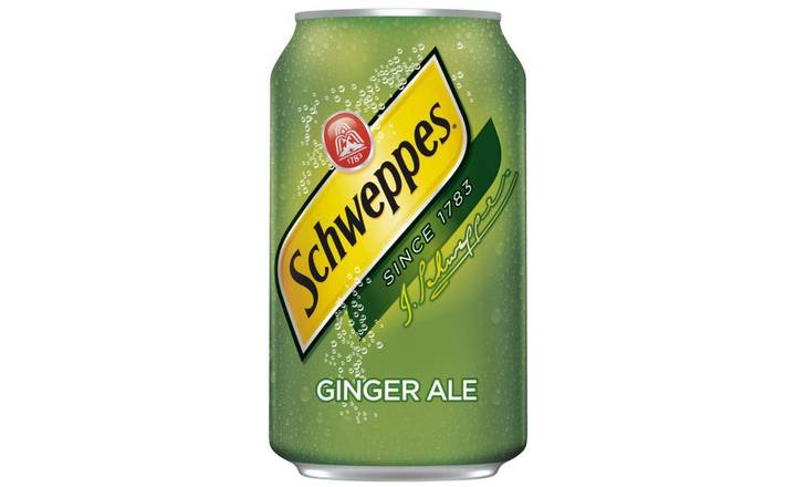 Can Soda Gingembre
