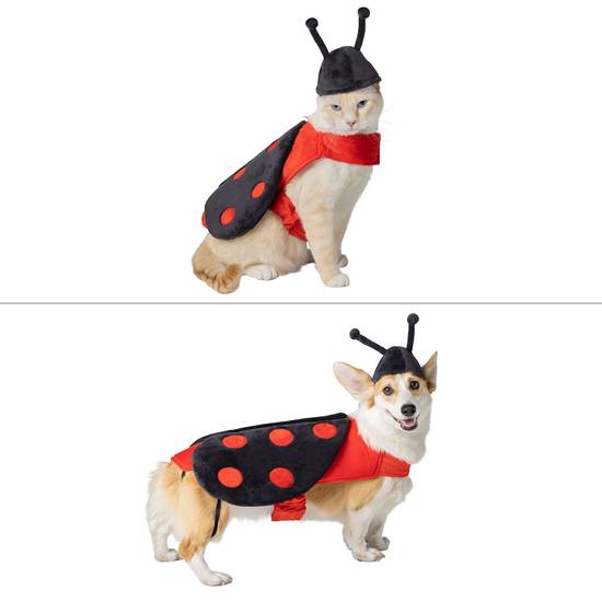 Thrills & Chills™ Halloween Ladybug Dog & Cat Costume (Color: Multi Color, Size: Large)