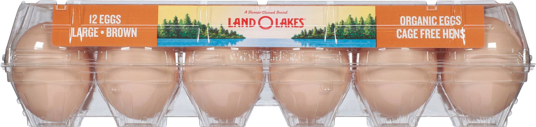 Land O'lakes Large Brown Organic Eggs (12 ct)