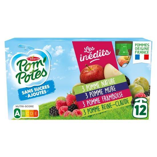 Pom'potes (sans sucres ajoutés) les inédits pomme/pomme mûre/pomme framboise/pomme reine claude - materne - 1080g