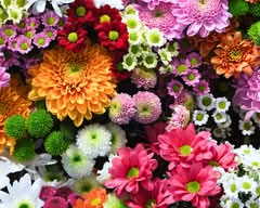 D7FlowerArt (Vila do Conde)