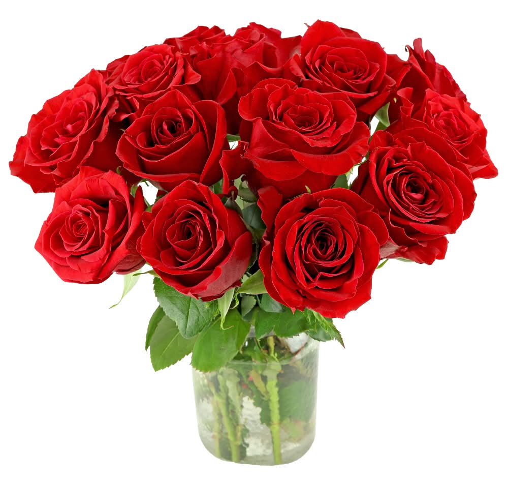 Bloom Haus Belle Blooms Fresh Flower Bouquet Arrangement in Vase