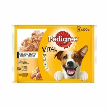 Comida húmeda de pollo y cordero en gelatina para perro Pedigree pack de 4 unidades de 100 g.
